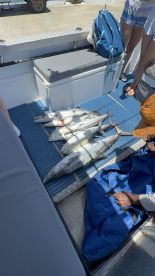 Amazing New Years Eve Fishing Trip in Fiji