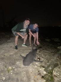 Five stars all the way