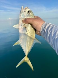 Capt. Sean saved our trip