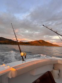 Deep Sea Fishing in the Dominican Republic – A Memorable Adventure!