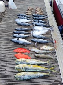 AWESOME CREW AND AWESOME EXPERIENCE