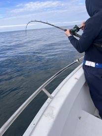 Small N\u2019 Plenty