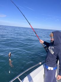 Small N\u2019 Plenty