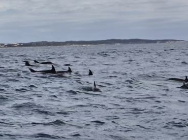 Awesome day with seasoned skipper