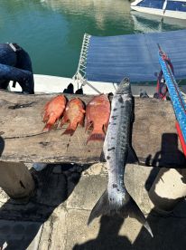 Well worth the experience 