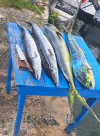 I\u2019m a fisherman from Florida myself and I can say captain Sergio knows his stuff has very high value\/quality equipment and can make something happen out of a tuff day of fishing for the price it\u2019s very worth it I highly recommend 