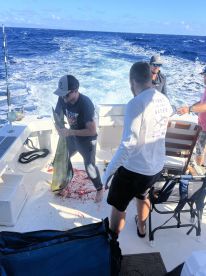 Wide variety of fish