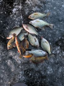 January fishing trip