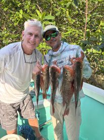 Fantastic day of Snapper fishing 