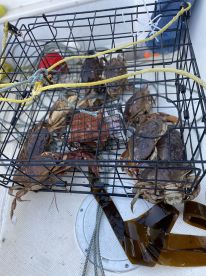 Beautiful day on the water