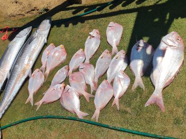 Brilliant Experience!