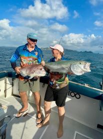 Very good for your “Brain”