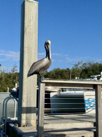 Amazing Fishing trip!!