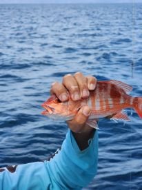 February fishing trip