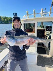 Peter gets you on the Stripers