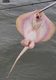 Great start to the morning 