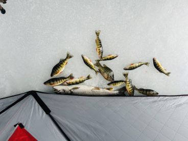 Another great trip with Justin