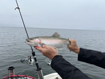 \ud83d\udc4d\ud83d\ude0a