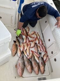 Captain put us on lots of fish. 