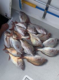 Great fishing charter