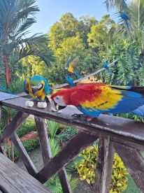 Two Day Trip on San Jose Islands