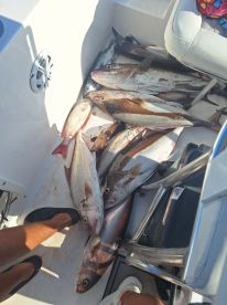 Two Day Trip on San Jose Islands