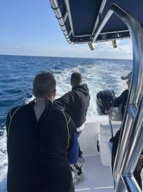 Absolutely gotta do it 