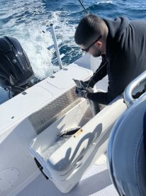 Absolutely gotta do it 