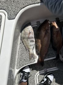 Amazing Trip\/Amazing Crew