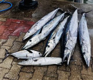 Nothing to complain about!!!