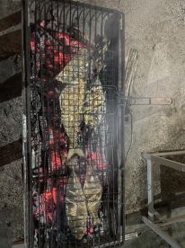 Unique and professional experience with SALFA Spearfishing