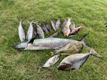 Unique and professional experience with SALFA Spearfishing