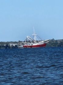 Loads of fun, captain John did it all.