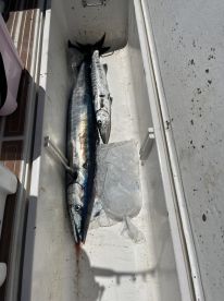 Morning half day trip