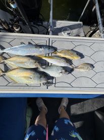 Loved the captain/crew but the boat was a bit disappointing 