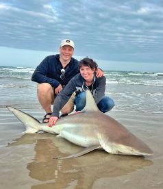 Absolutely will book with them again