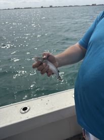 Book direct, save gishbooker fees