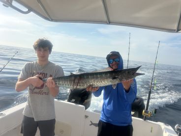 Amazing trip with kids