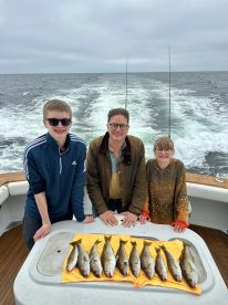 Spectacular boat, fantastic crew!