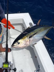 Awesome crew and trip