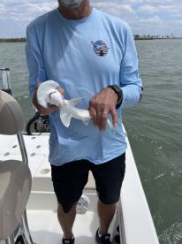 Fishing Punta Gorda