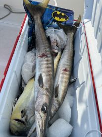 5 Hour Trip - Sunrise Catch