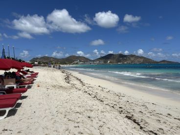 Skunked in St Martin