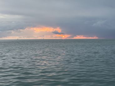 Great day of fishing