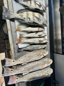 Best Fishing Charter around 