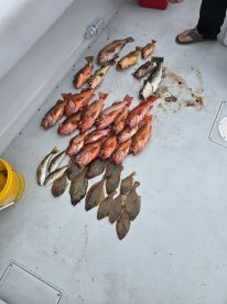 AWESOME fishing trip! 