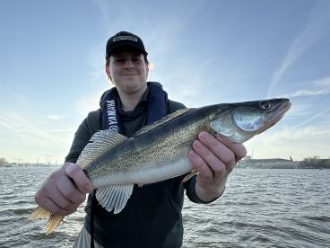 Excellent day fishing!