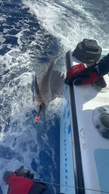 Best Charter I\u2019ve ever booked 