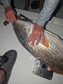 Night time is the right time...