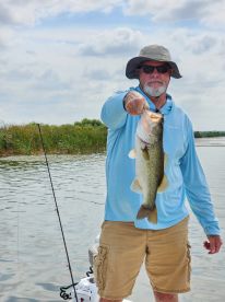 100 Percent professional 